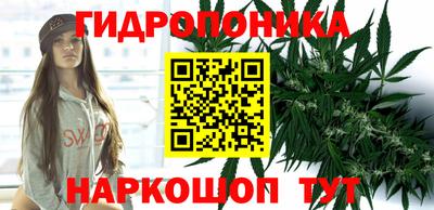прущие крисы Шебекино