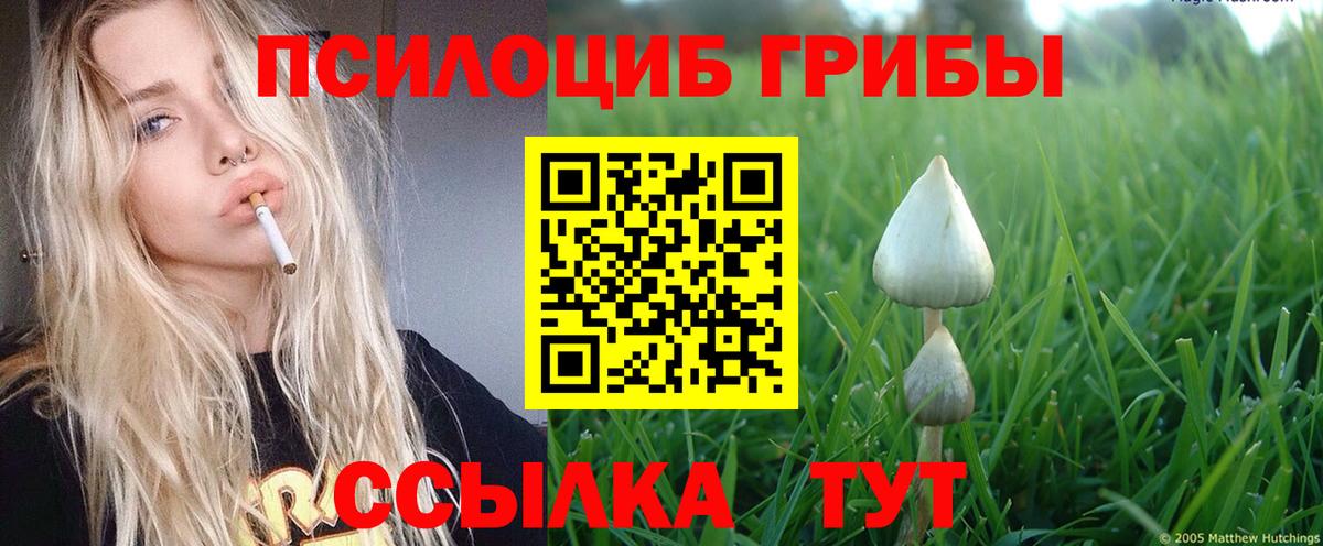 Псилоцибиновые грибы GOLDEN TEACHER  купить наркоту  Минусинск  Вход с VPN 